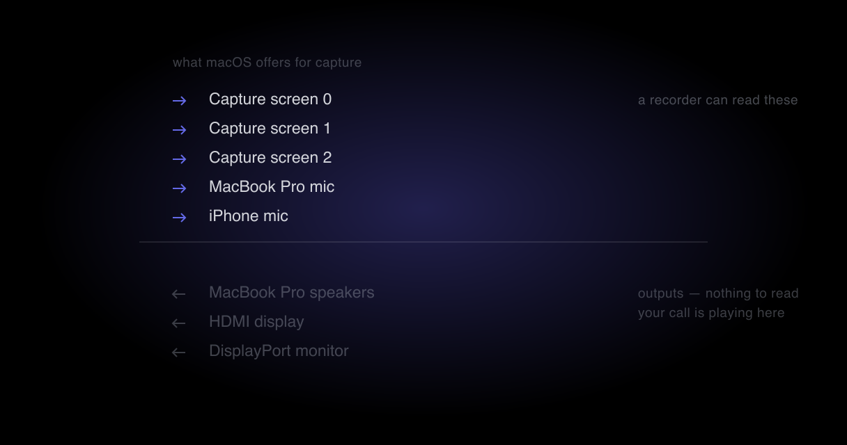 Three screens listed as capturable against only two audio inputs, both microphones, with the speaker output shown as unavailable to any recorder